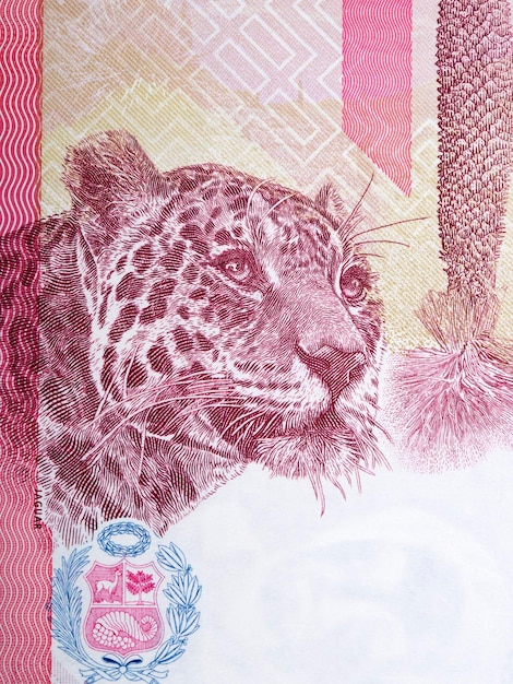 Portrait of a jaguar from Peruvian money