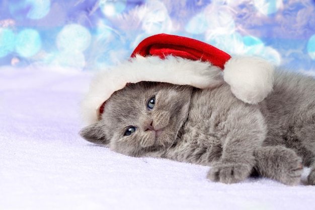 Portrait of little kitten wearing Santa hat lying against Christmas background