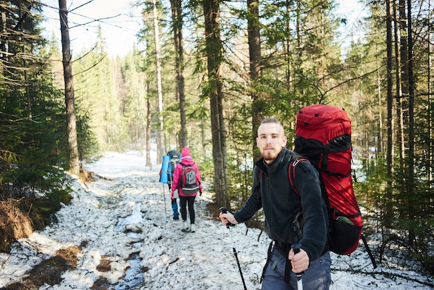 Portrait of male hiker in forest