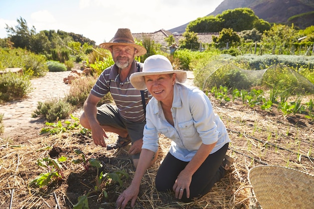 Portrait Of Mature Couple Working On Community Allotment