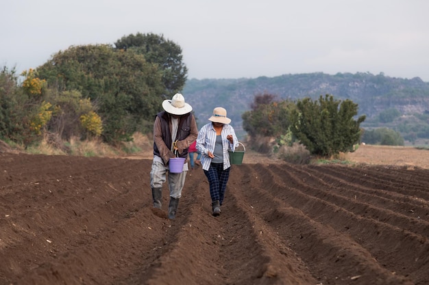 Portrait of a Mexican Farmer Planting Beans with Passion