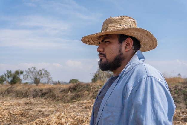 A portrait of a Mexican happy farmer collecting corn