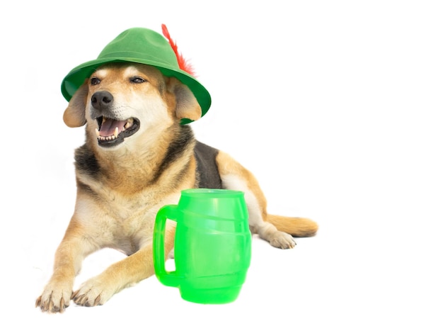 Portrait of a mongrel dog with a bavarian hat and a mug of beer