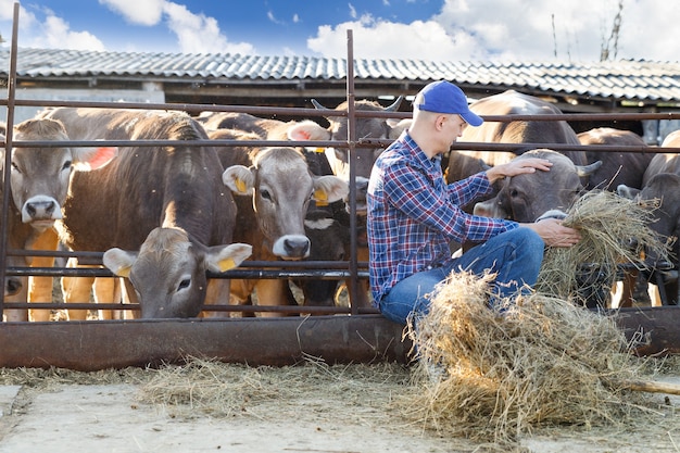 Portrait of a positive male farmer on a farm near cows