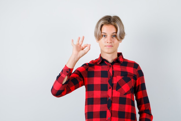 Portrait of pretty teen boy showing ok gesture in checked shirt and looking confident front view