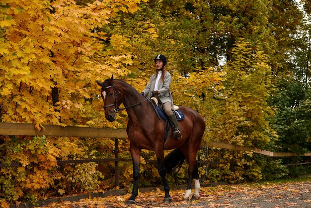 Portrait of a pretty young woman with a brown horse riding autumn day