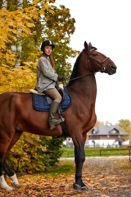 Portrait of a pretty young woman with a brown horse riding autumn day