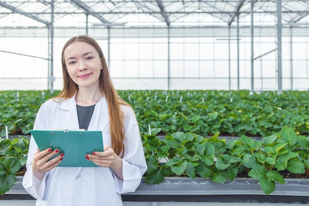 Portrait scientist in large green house organic strawberry agriculture farm for plant research working woman