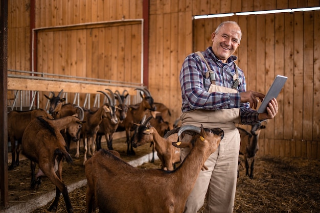 Portrait of senior cattleman using tablet computer and observing domestic animals in farmhouse