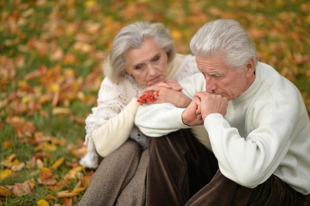 Portrait of senior couple in autumn park