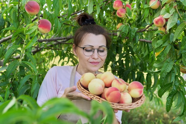 Portrait of smiling woman with basket of fresh peaches tree with ripe peaches background