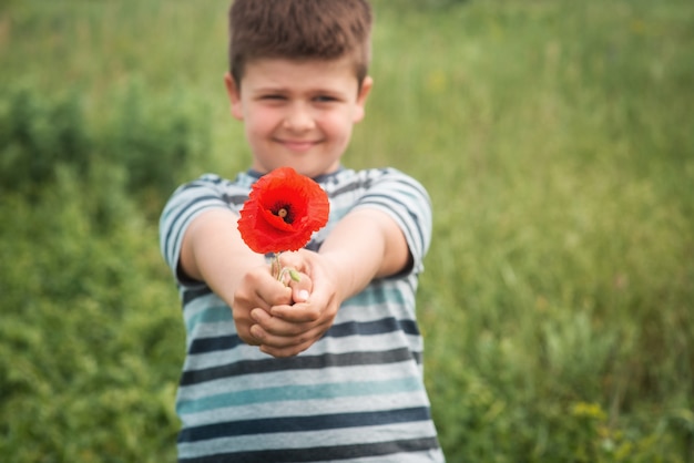 Portrait of a sweet boy with a red poppy flower The kid extends his hands forward with a flower