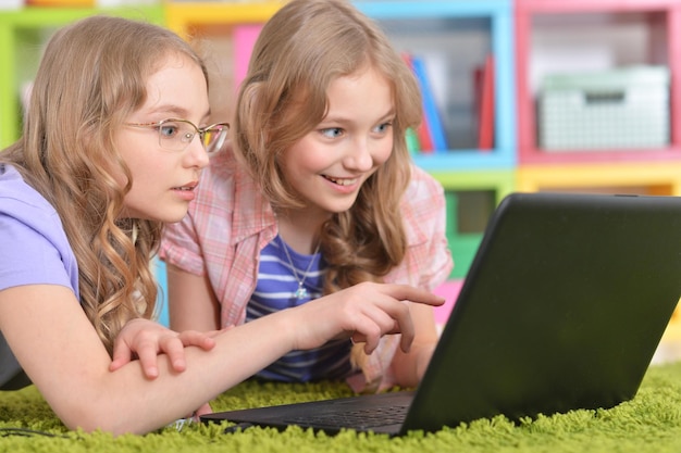 Portrait of two teenagers sisters using laptop