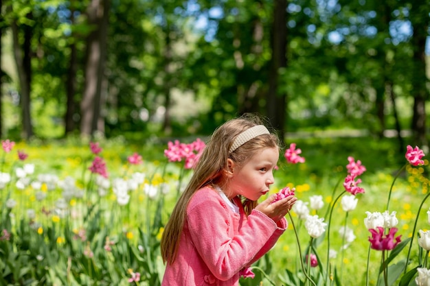 Portrait of a very cute pretty girls blonde in a pink coat around the flower bed of tulips in the ParkBeautiful child smelling flowers on tulip fields Child in tulip flower field