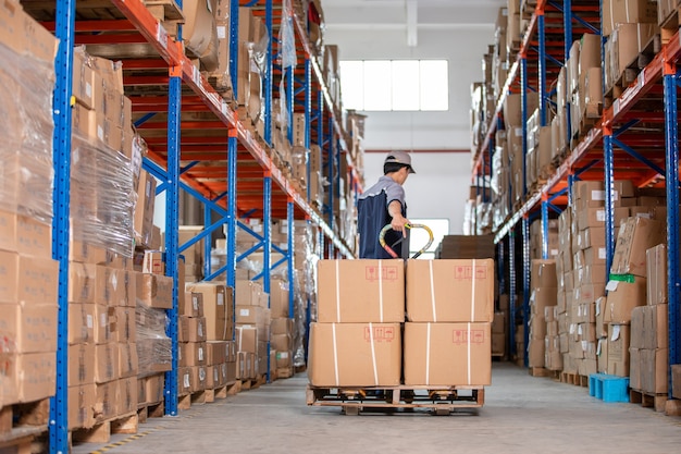 Portrait of warehouse managers and worker working together in a large warehouse