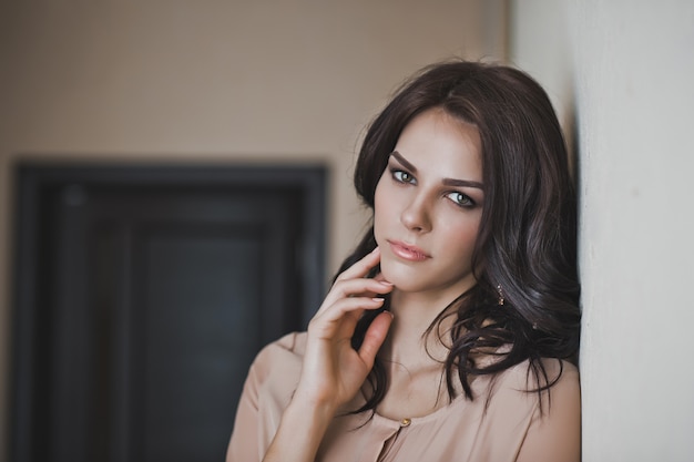 Portrait of a woman with makeup and a nice hairstyle with dark hair