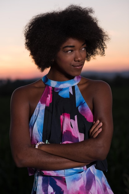 portrait of a young beautiful African American women on a warm summer evening in summer dress with a smile on her face