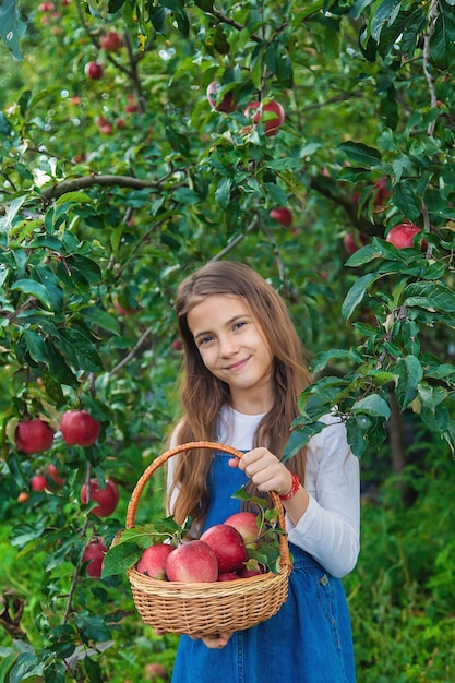 Photo portrait of young woman picking apples