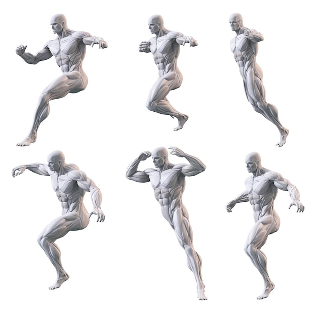 Poses of mannequin