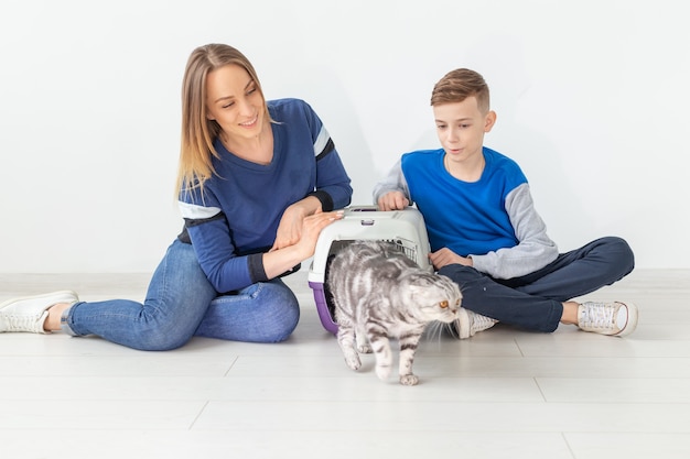 Positive good-looking mother and son launch their beautiful gray Scottish Fold cat into their new