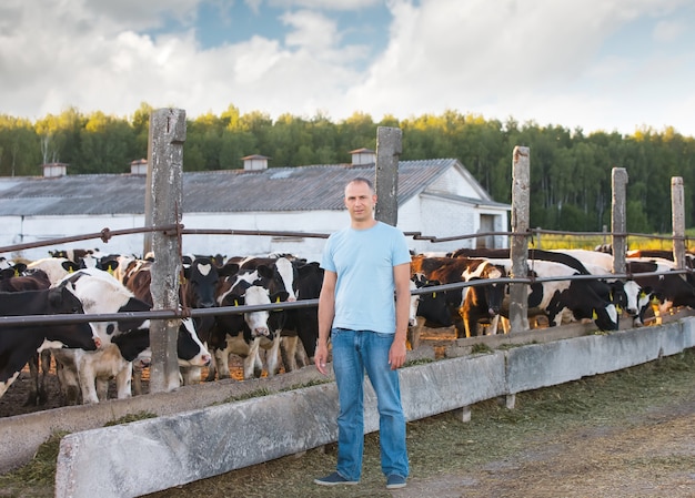 Positive man on the farm cows