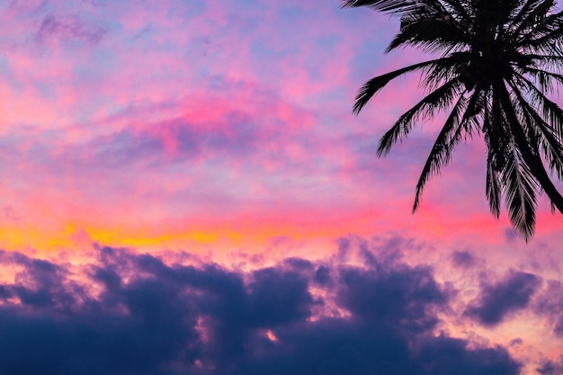 Photo postcard, background breathtaking sunset sky and palm tree in thailand