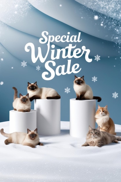 a poster of a special special winter sale with a picture of a snowman themed christmas card