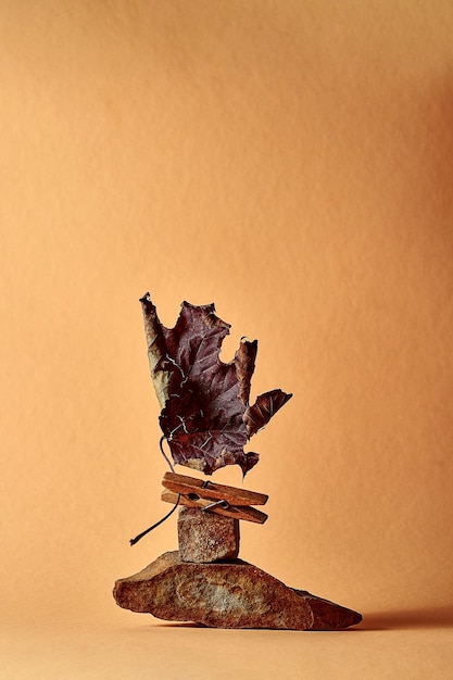 Poster with dry autumn leaves. Minimalistic concept, leaves stand against a brown background.