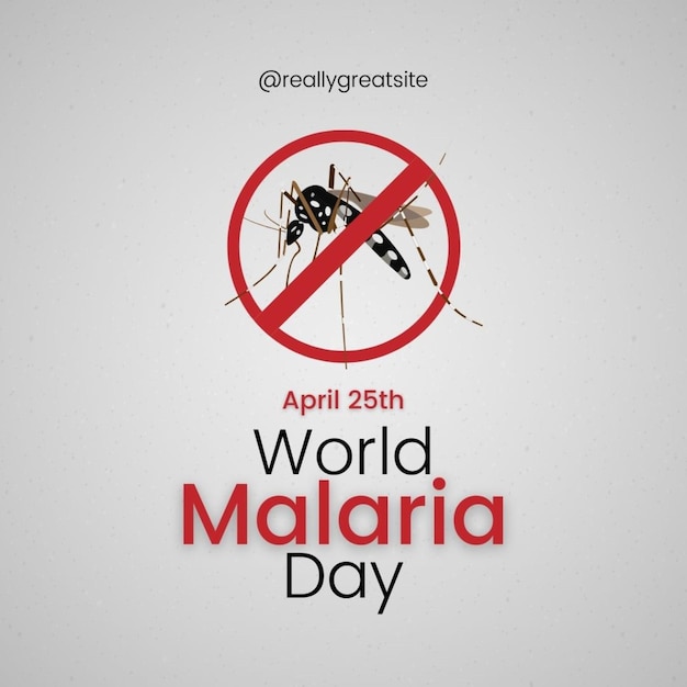 a poster for world mosquito day with a no mosquito