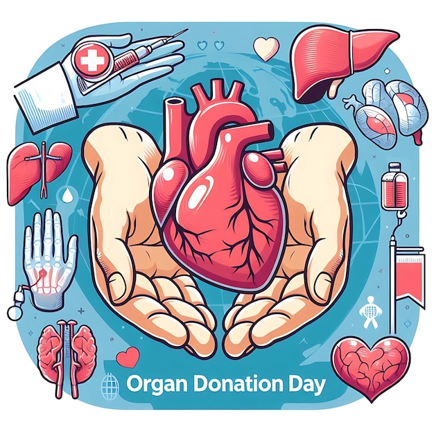 a poster for world organ donation day with a heart that says quot organ quot