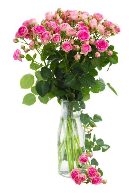 Posy  of fresh pink roses in glass vase  isolated on white background