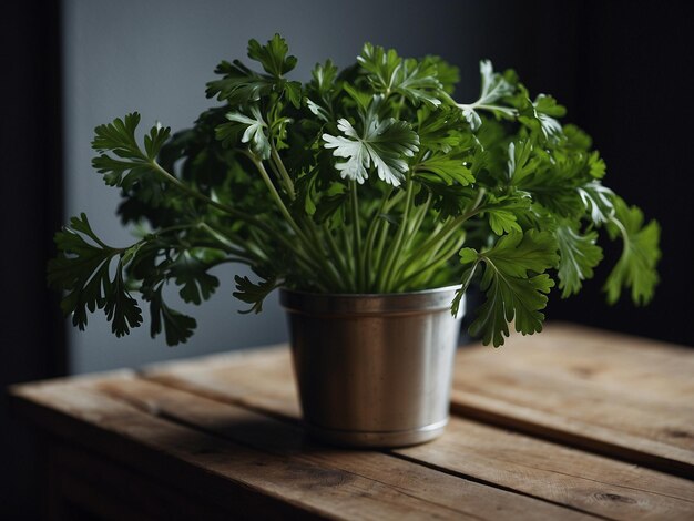 Photo a pot of parsley sits on a wooden table