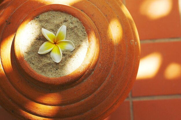 A pot with a flower in it that is on a red tile floor