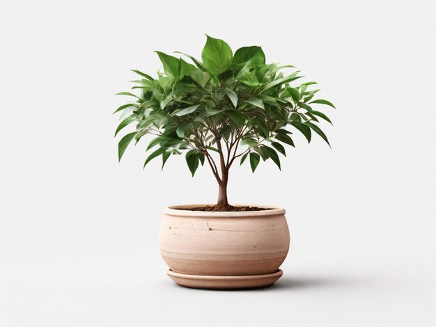 a pot with a plant in it that is made by a plant