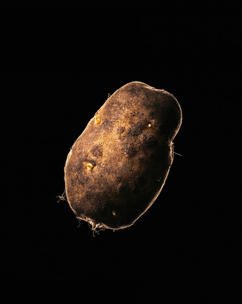 potato isolated on black background