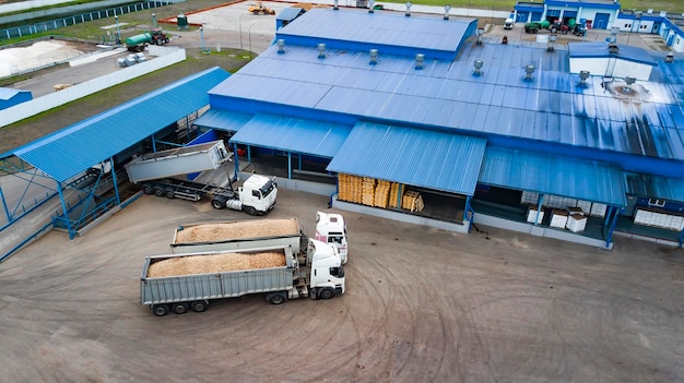 Potato starch processing plant top view