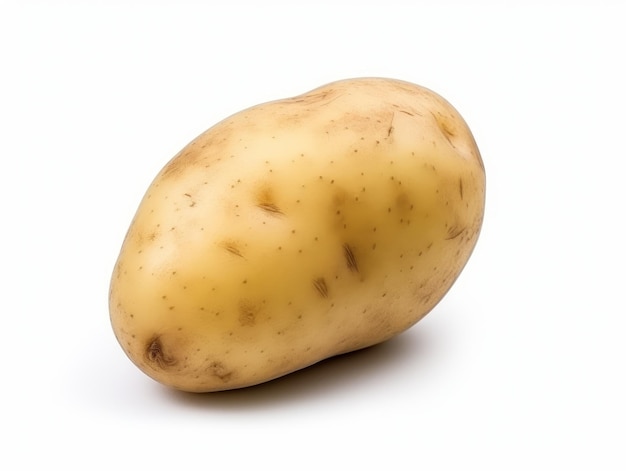 A potato on a white background