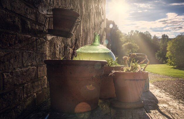 pots and vases on a farm