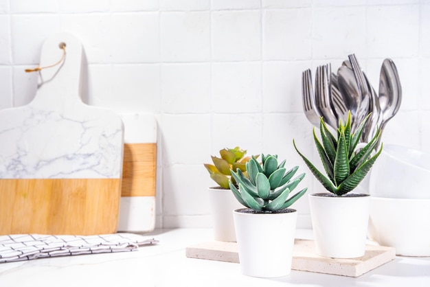 Pots with succulents on kitchen table