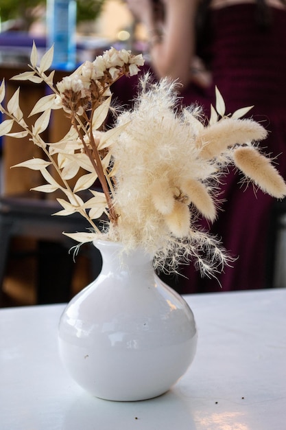 Potted grass feather plant in a vase on a table