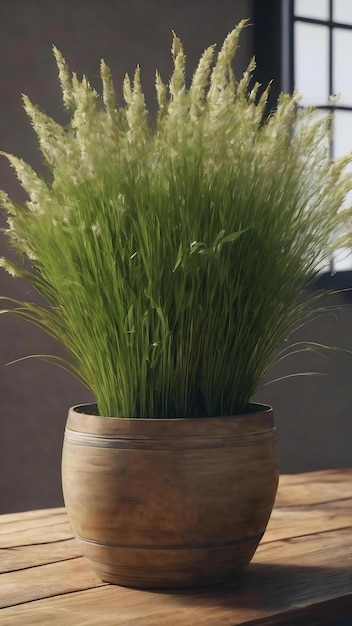 Potted grass flower over wooden table