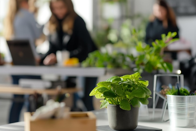 Photo potted plant in focus near business team in modern office environment