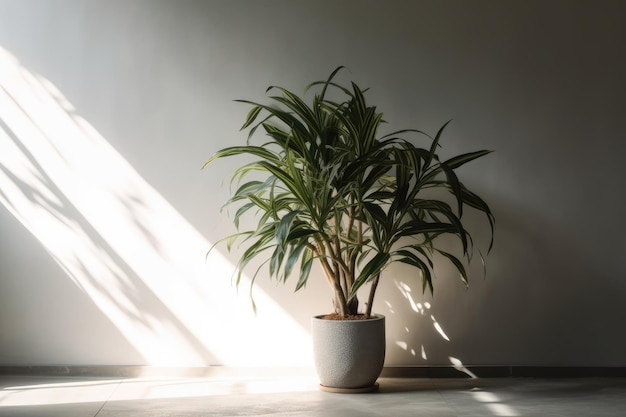 Potted plant placed on the floor near a wall Generative AI