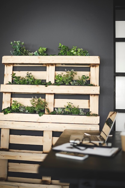 Photo potted plants on balcony against house