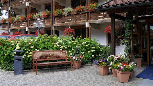 Potted plants on bench