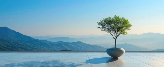 Photo a potted tree on a balcony overlooking a mountain range