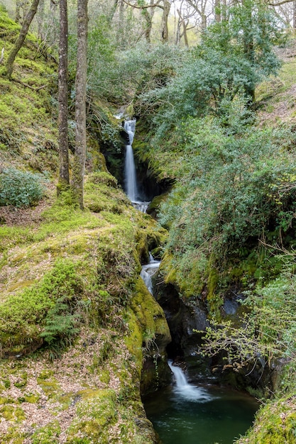 Poulanass Waterfall in the Glendalough forest Wicklow Ireland