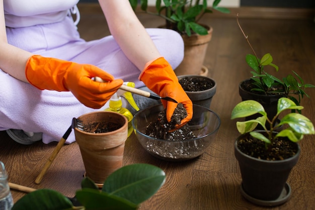 Pour the soil into flower pots at home