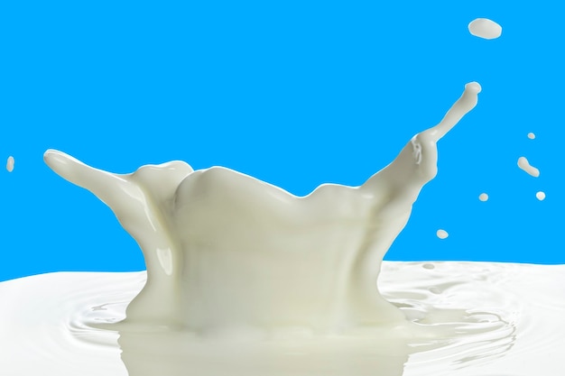 Pouring of milk splash isolated white background