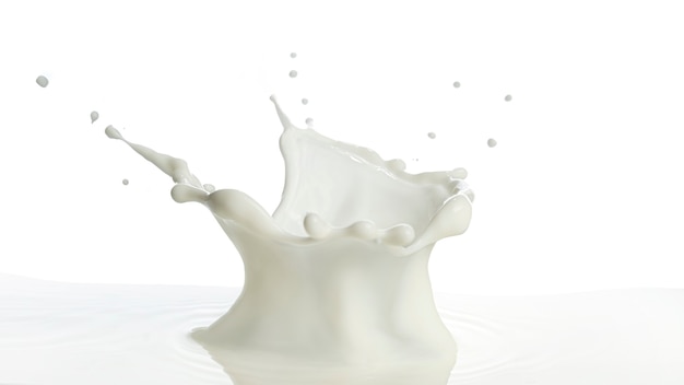 Pouring of milk splash isolated white background